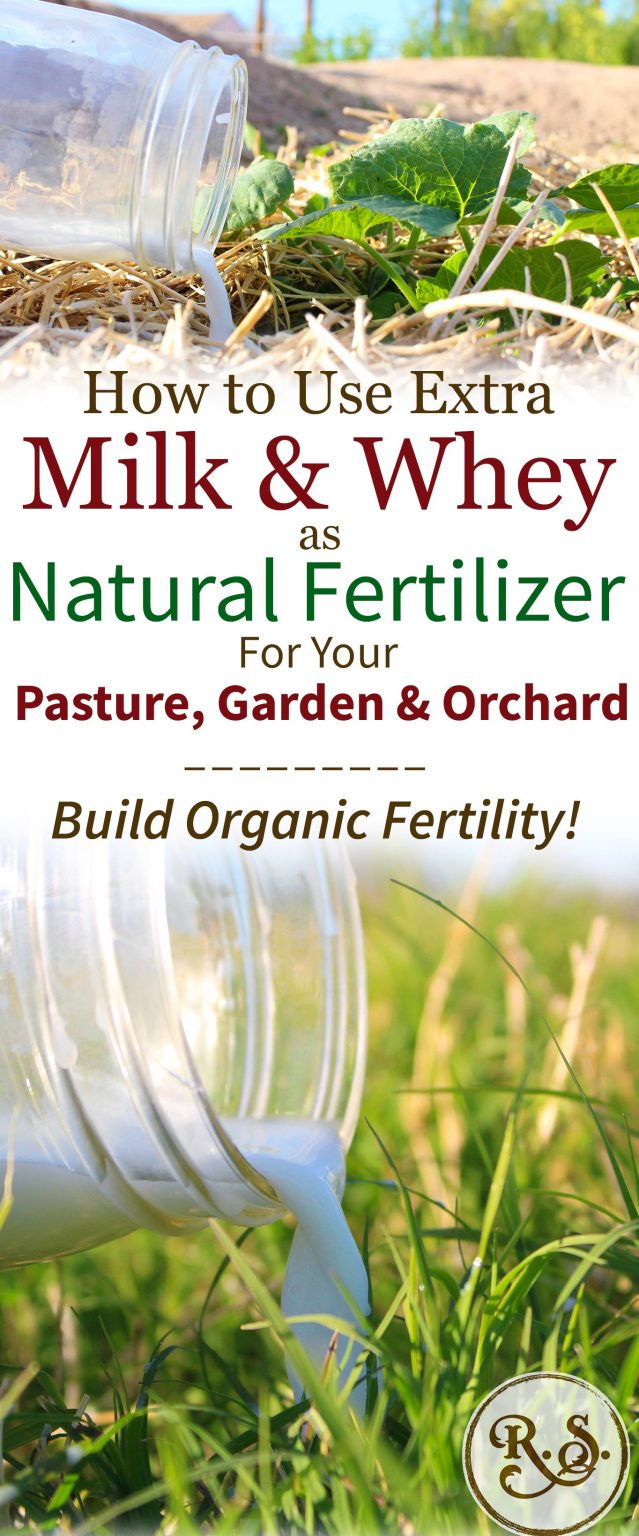 Top Organic Fertilizers to Enrich Your Garden Naturally