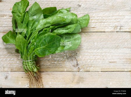 Identifying and Preventing Pests That Damage Your Organic Spinach Garden