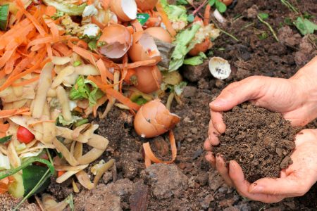 Choosing the Right Compost for Thriving Organic Gardens: A Comprehensive Guide