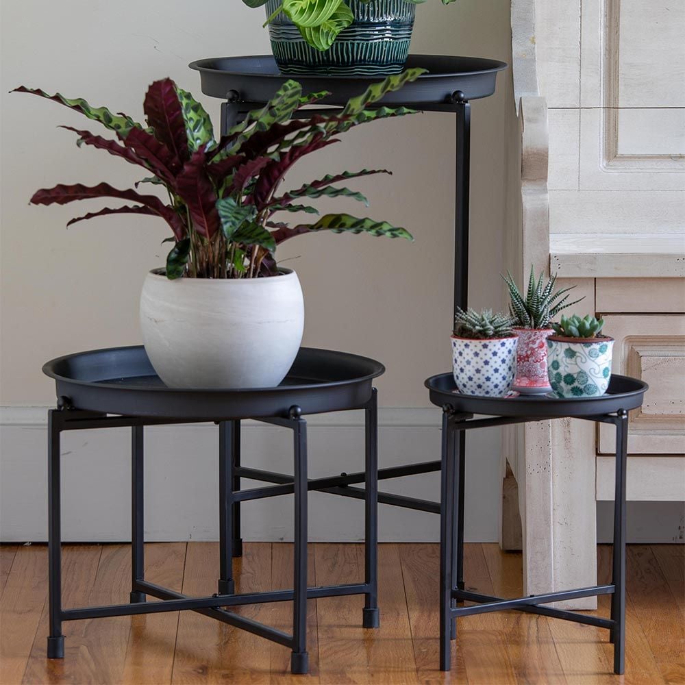 Stylish and Functional Plant Stands Perfect for Your Large Green Companions