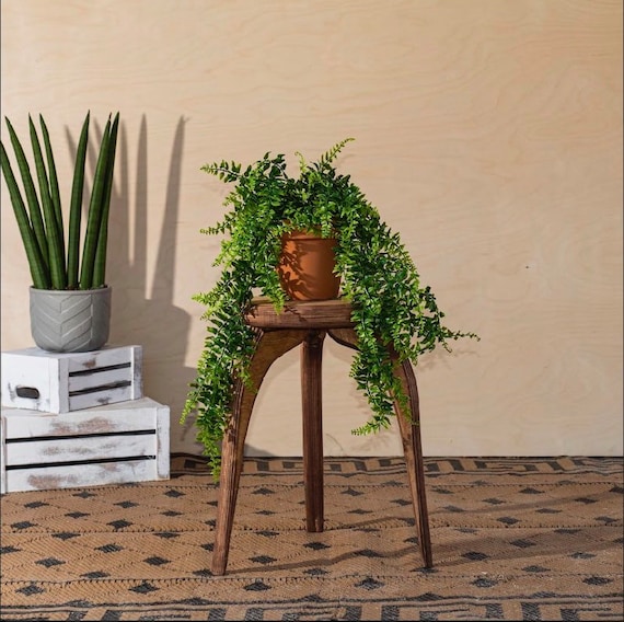 Charming Plant Stands Perfectly Designed for Your Small Plant Collection