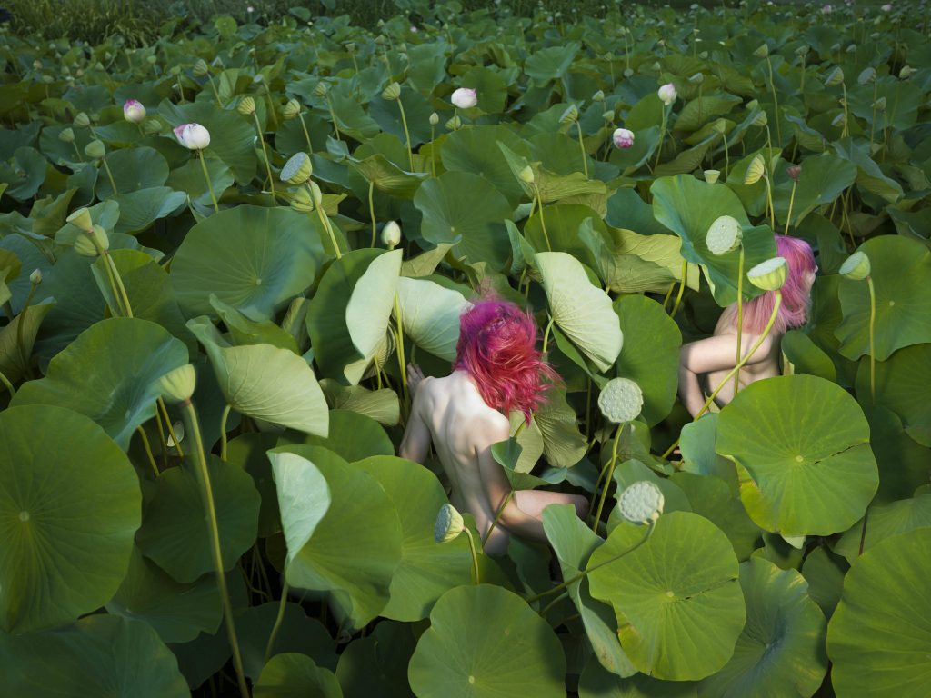 Tamara Dean: Nature-Inspired Art that Captivates and Inspires