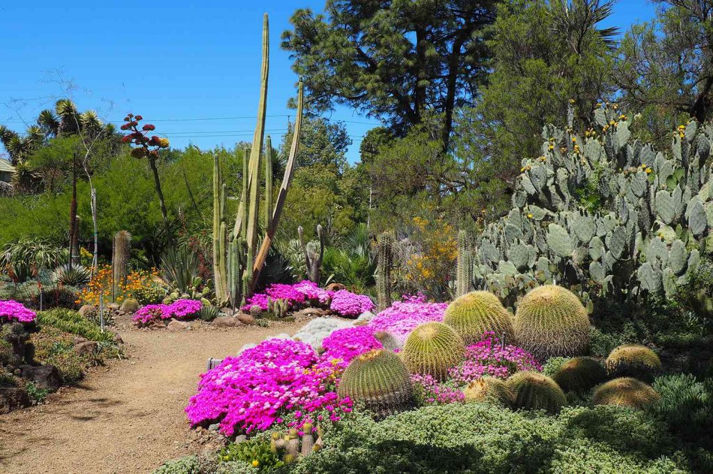 The Most Beautiful Garden in the World: A Paradise for Nature Lovers