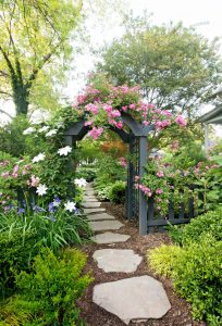Create a Beautiful Garden: Easy Tips for a Vibrant Outdoor Space