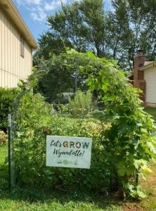 Plant Care Instructions: Tips for Thriving Indoor Plants Let's Grow