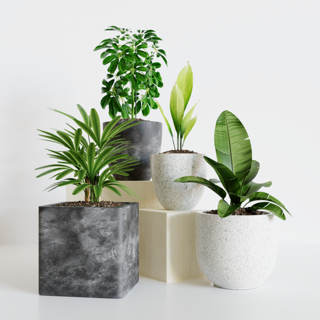 Create Exciting Pot Plant Groups: Tips & Ideas for Your Home Garden