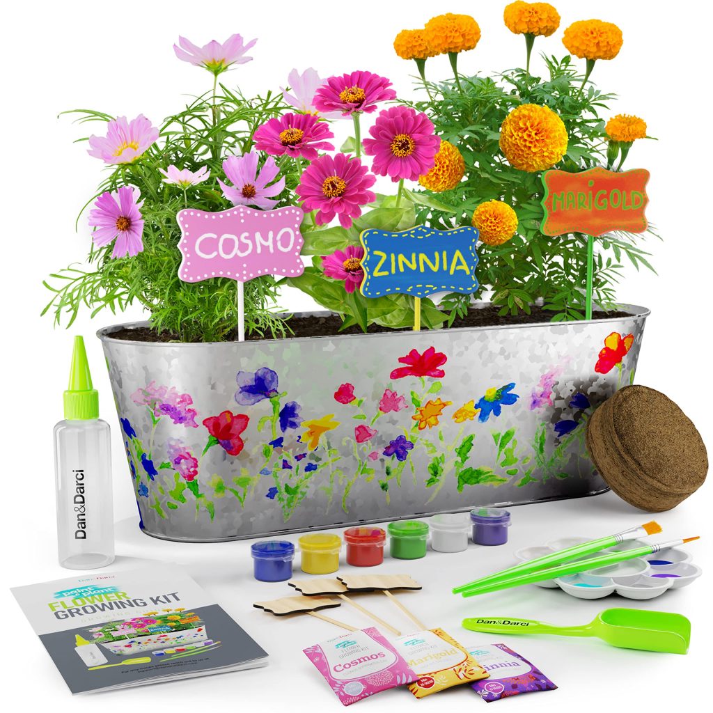 Complete Flower Gardening Kit for Beginners - Grow Beautiful Blooms