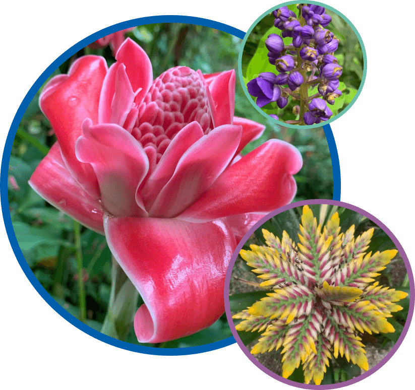 Discover Flower Forest Botanical Gardens: A Blooming Nature Escape Discover Flower Forest Botanical Gardens: A Blooming Nature Escape